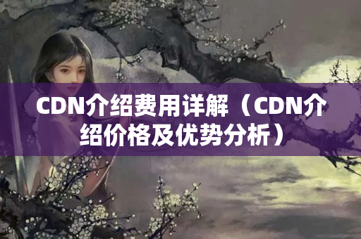 CDN介紹費用詳解（CDN介紹價格及優(yōu)勢分析）