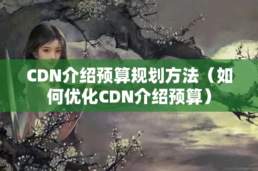 CDN介紹預(yù)算規(guī)劃方法（如何優(yōu)化CDN介紹預(yù)算）