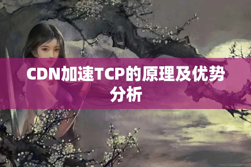 CDN加速TCP的原理及優(yōu)勢(shì)分析