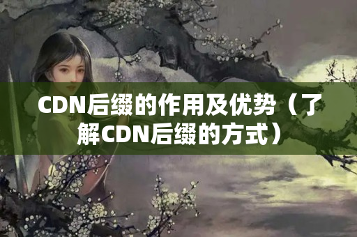 CDN后綴的作用及優(yōu)勢（了解CDN后綴的方式）