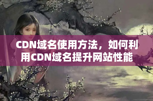 CDN域名使用方法，如何利用CDN域名提升網(wǎng)站性能