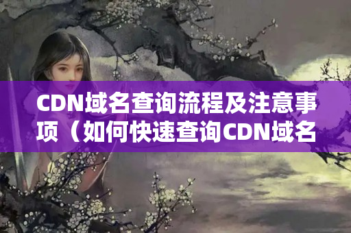 CDN域名查詢流程及注意事項（如何快速查詢CDN域名）