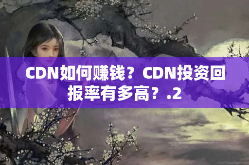 CDN如何賺錢？CDN投資回報率有多高？