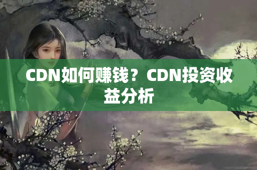 CDN如何賺錢？CDN投資收益分析