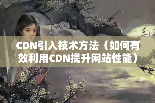 CDN引入技術(shù)方法（如何有效利用CDN提升網(wǎng)站性能）