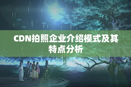 CDN拍照企業(yè)介紹模式及其特點(diǎn)分析