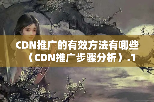 CDN推廣的有效方法有哪些（CDN推廣步驟分析）