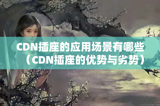 CDN插座的應(yīng)用場景有哪些（CDN插座的優(yōu)勢與劣勢）