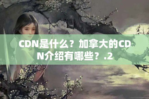 CDN是什么？加拿大的CDN介紹有哪些？