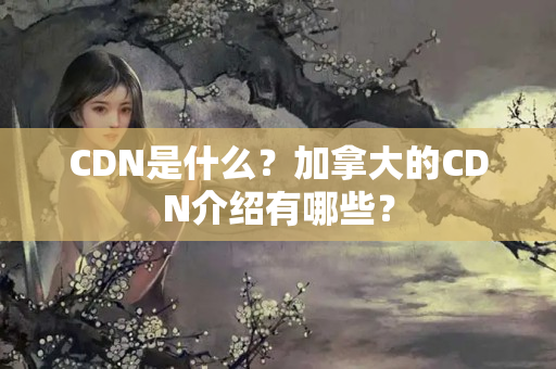 CDN是什么？加拿大的CDN介紹有哪些？