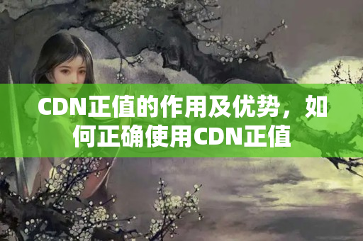 CDN正值的作用及優(yōu)勢，如何正確使用CDN正值