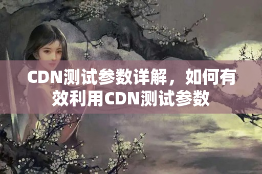 CDN測試參數(shù)詳解，如何有效利用CDN測試參數(shù)