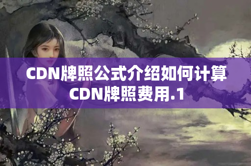 CDN牌照公式介紹如何計(jì)算CDN牌照費(fèi)用