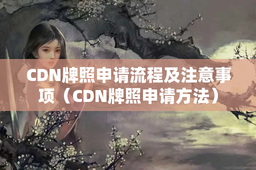 CDN牌照申請流程及注意事項(xiàng)（CDN牌照申請方法）