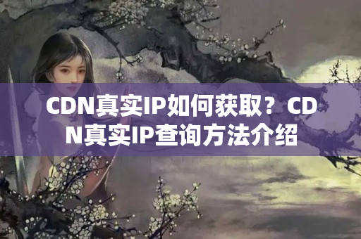 CDN真實(shí)IP如何獲?。緾DN真實(shí)IP查詢方法介紹