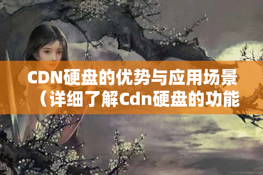 CDN硬盤的優(yōu)勢(shì)與應(yīng)用場(chǎng)景（詳細(xì)了解Cdn硬盤的功能）