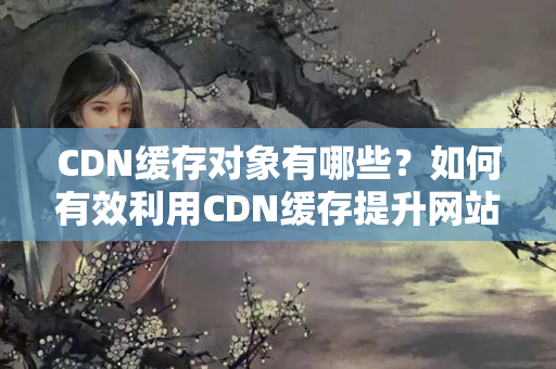 CDN緩存對(duì)象有哪些？如何有效利用CDN緩存提升網(wǎng)站性能？