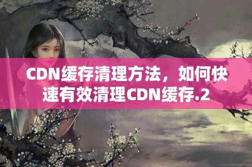 CDN緩存清理方法，如何快速有效清理CDN緩存