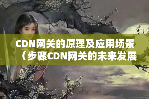 CDN網(wǎng)關(guān)的原理及應(yīng)用場景（步驟CDN網(wǎng)關(guān)的未來發(fā)展）