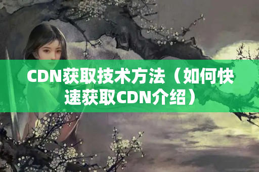 CDN獲取技術(shù)方法（如何快速獲取CDN介紹）