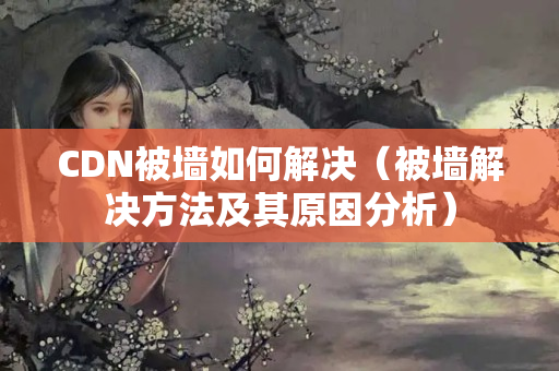 CDN被墻如何解決（被墻解決方法及其原因分析）