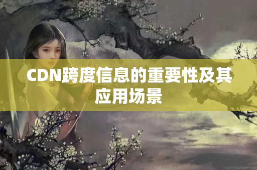 CDN跨度信息的重要性及其應(yīng)用場(chǎng)景