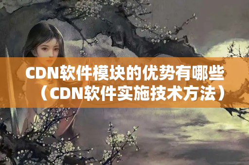 CDN軟件模塊的優(yōu)勢(shì)有哪些（CDN軟件實(shí)施技術(shù)方法）