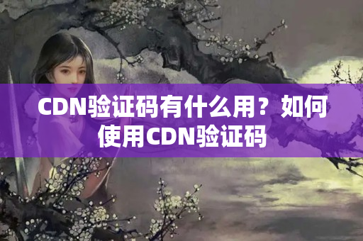 CDN驗(yàn)證碼有什么用？如何使用CDN驗(yàn)證碼