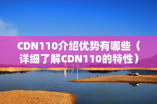 CDN110介紹優(yōu)勢有哪些（詳細(xì)了解CDN110的特性）