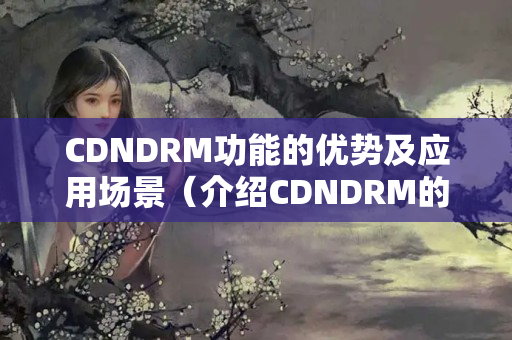 CDNDRM功能的優(yōu)勢及應用場景（介紹CDNDRM的作用）