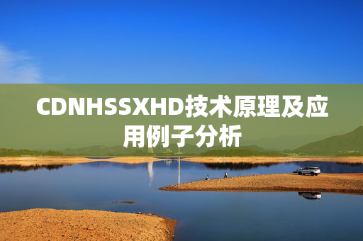 CDNHSSXHD技術(shù)原理及應(yīng)用例子分析