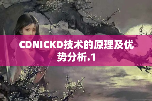 CDNICKD技術(shù)的原理及優(yōu)勢分析