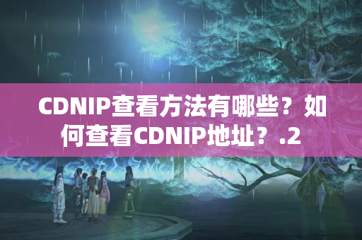 CDNIP查看方法有哪些？如何查看CDNIP地址？