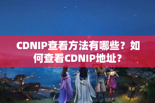 CDNIP查看方法有哪些？如何查看CDNIP地址？