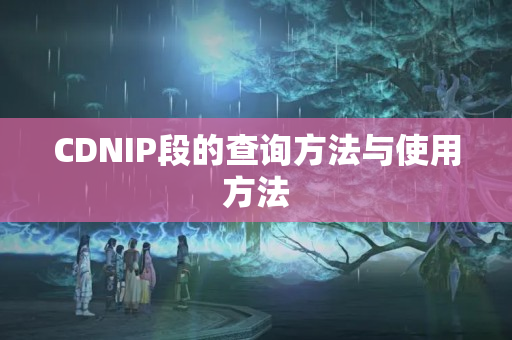 CDNIP段的查詢方法與使用方法