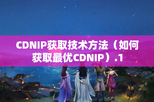 CDNIP獲取技術(shù)方法（如何獲取最優(yōu)CDNIP）