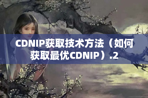 CDNIP獲取技術(shù)方法（如何獲取最優(yōu)CDNIP）