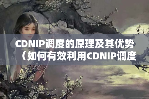 CDNIP調度的原理及其優(yōu)勢（如何有效利用CDNIP調度）