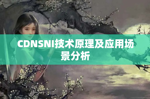 CDNSNI技術原理及應用場景分析