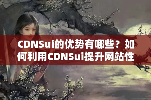 CDNSui的優(yōu)勢有哪些？如何利用CDNSui提升網(wǎng)站性能？