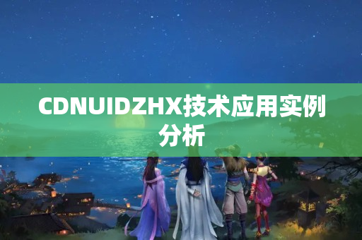 CDNUIDZHX技術(shù)應(yīng)用實例分析