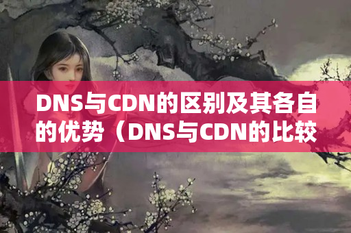 DNS與CDN的區(qū)別及其各自的優(yōu)勢（DNS與CDN的比較）