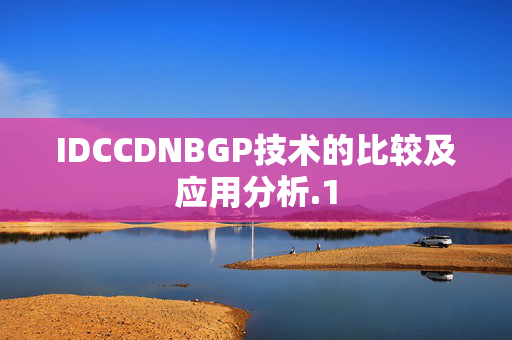 IDCCDNBGP技術(shù)的比較及應(yīng)用分析