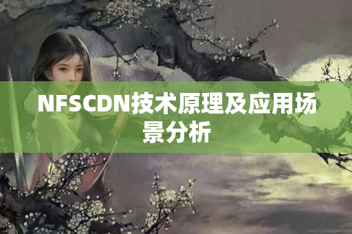 NFSCDN技術原理及應用場景分析