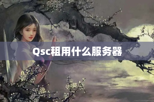 Qsc租用什么服務器