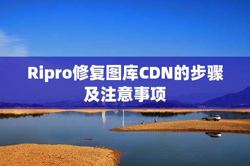 Ripro修復(fù)圖庫(kù)CDN的步驟及注意事項(xiàng)