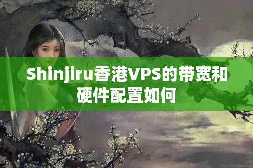 Shinjiru香港VPS的帶寬和硬件配置如何