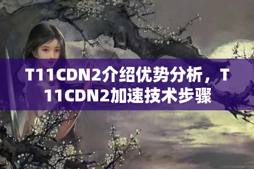 T11CDN2介紹優(yōu)勢(shì)分析，T11CDN2加速技術(shù)步驟