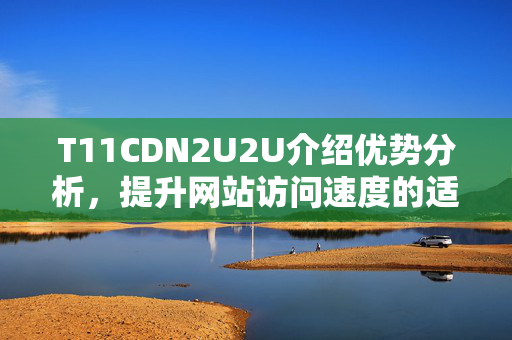 T11CDN2U2U介紹優(yōu)勢(shì)分析，提升網(wǎng)站訪問速度的適用方法