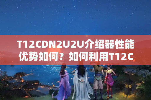 T12CDN2U2U介紹器性能優(yōu)勢(shì)如何？如何利用T12CDN2U2U提升網(wǎng)站性能？